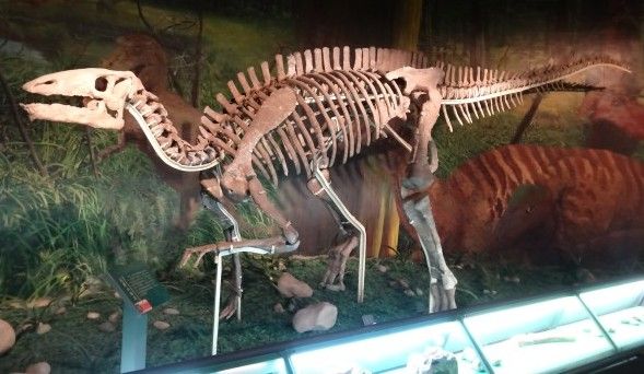 Gongpoquansaurus — Autres ornithischiens