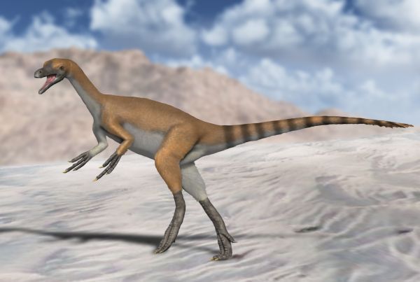 Haplocheirus — Théropodes