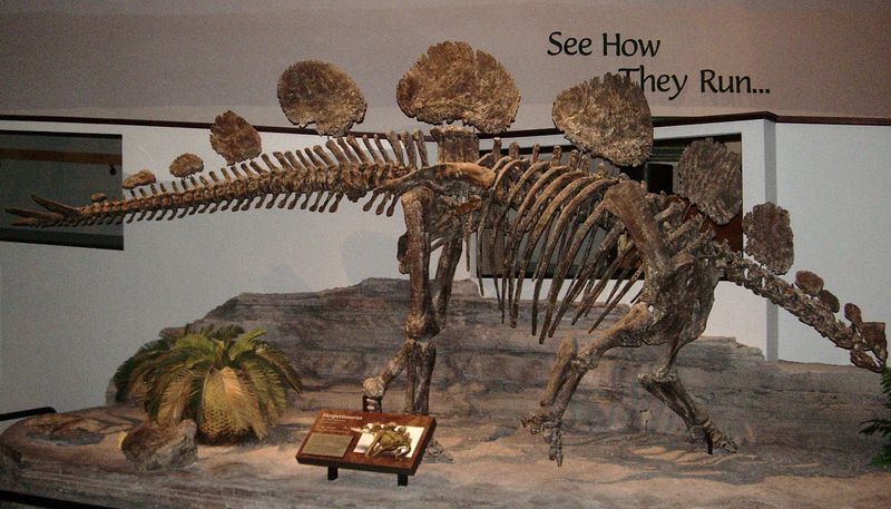 Hesperosaurus — Autres ornithischiens