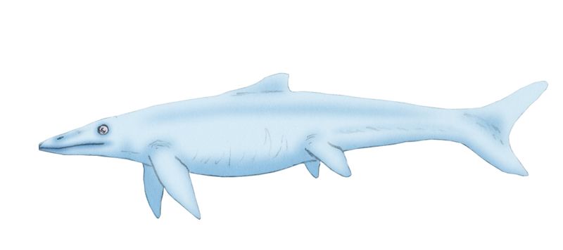 Hudsonelpidia — Reptiles marins