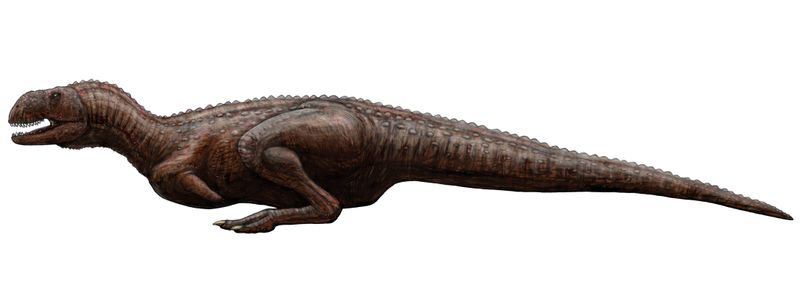 Indosuchus — Théropodes