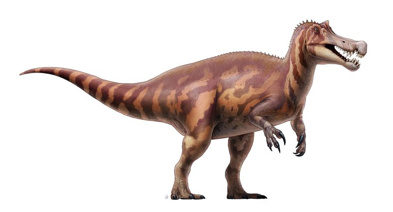 Irritator — Théropodes