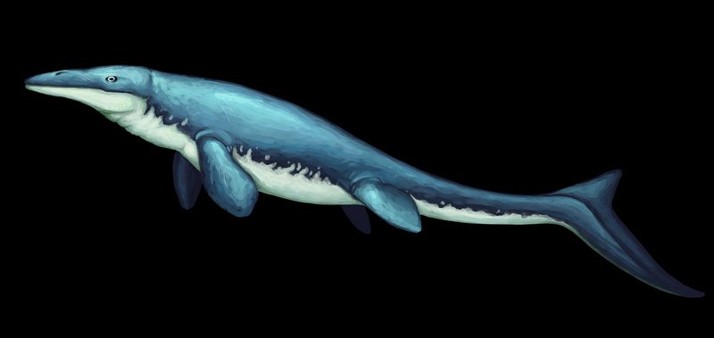 Kaikaifilu — Reptiles marins