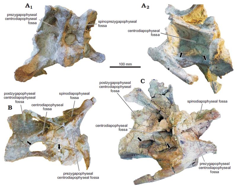 Katepensaurus — Autres saurischiens