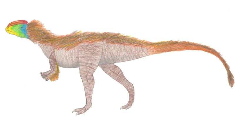 Kayentavenator — Théropodes