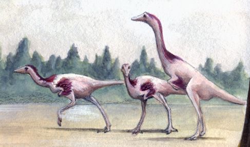 Kinnareemimus — Autres saurischiens