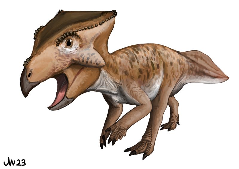 Koreaceratops — Autres ornithischiens