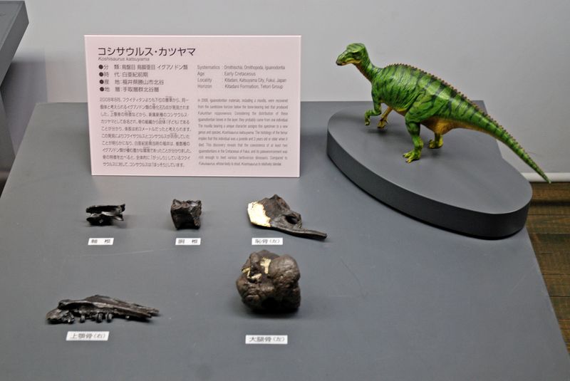 Koshisaurus — Autres ornithischiens