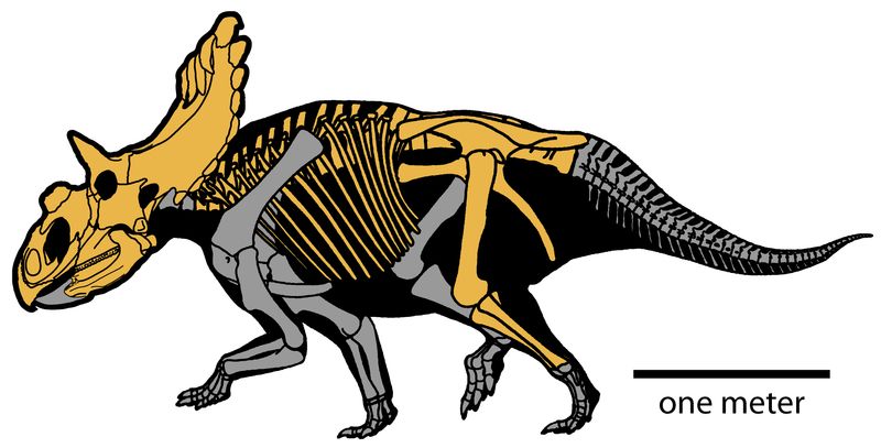Kosmoceratops — Autres ornithischiens