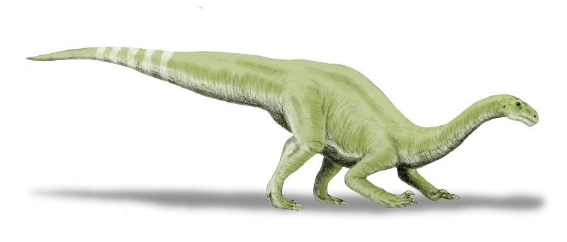 Lamplughsaura — Autres saurischiens