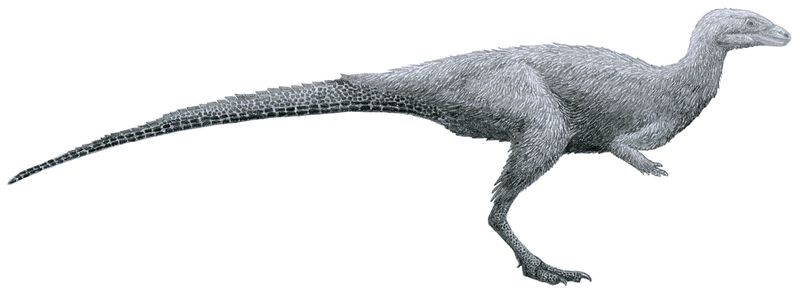 Laquintasaura — Autres ornithischiens
