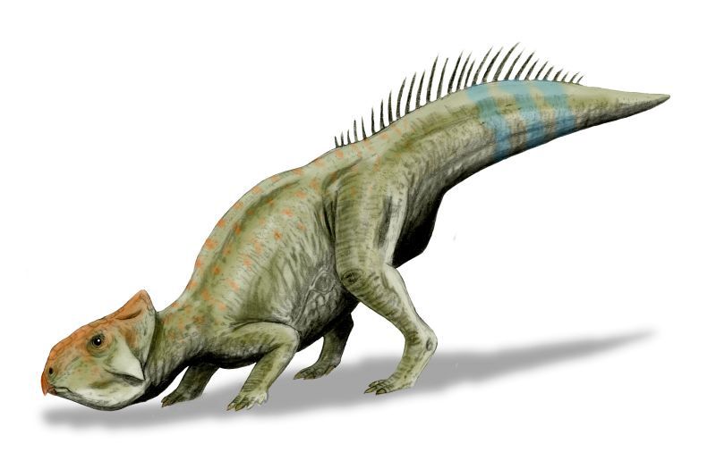 Leptoceratops — Autres ornithischiens