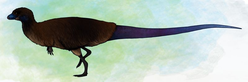 Lesothosaurus — Autres ornithischiens