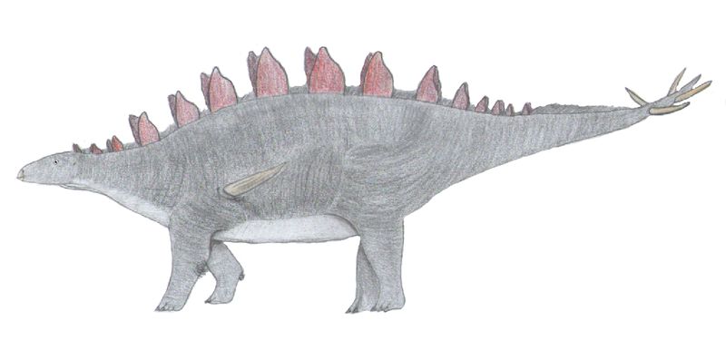 Lexovisaurus — Autres ornithischiens