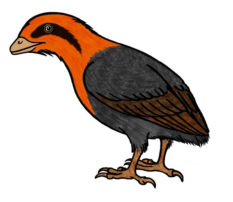Liaoningornis longidigitris — Autres