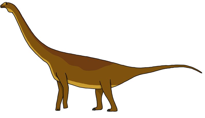 Ligabuesaurus — Autres saurischiens