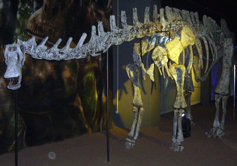 Limaysaurus — Autres saurischiens