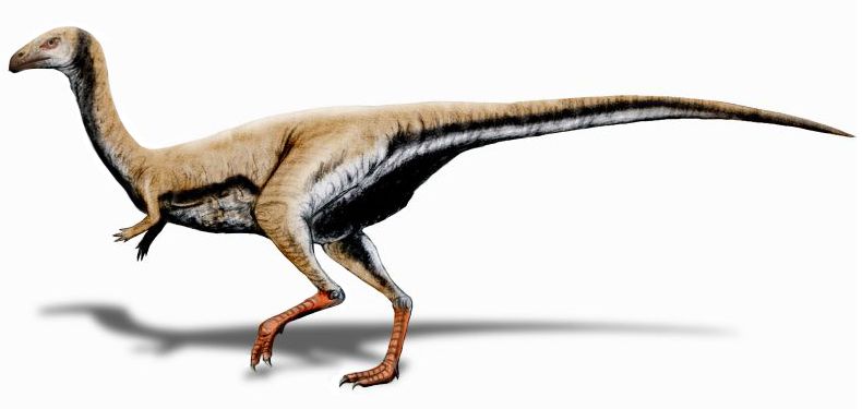 Limusaurus — Théropodes