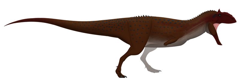 Majungasaurus — Théropodes
