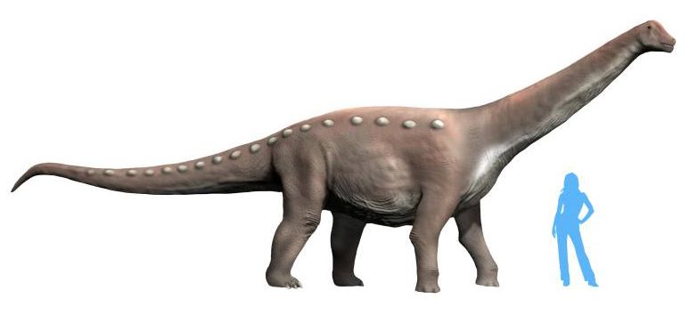 Mansourasaurus — Autres saurischiens