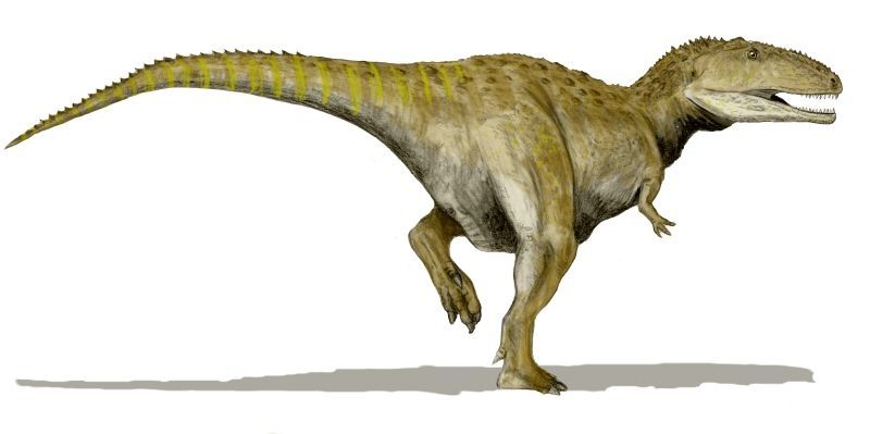 Mapusaurus — Théropodes
