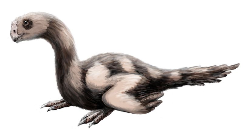 Microvenator — Théropodes