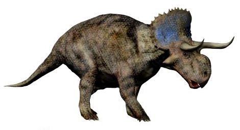 Nasutoceratops titusi — Autres ornithischiens