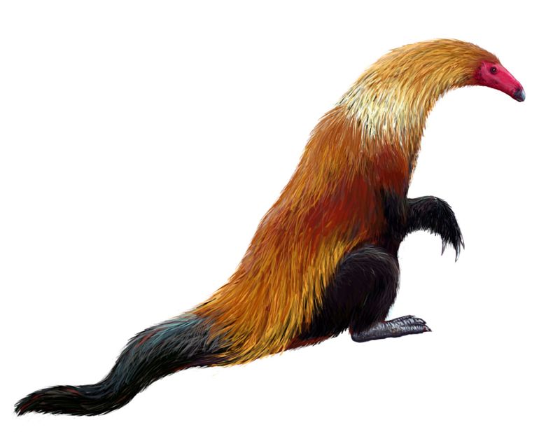Neimongosaurus — Autres saurischiens