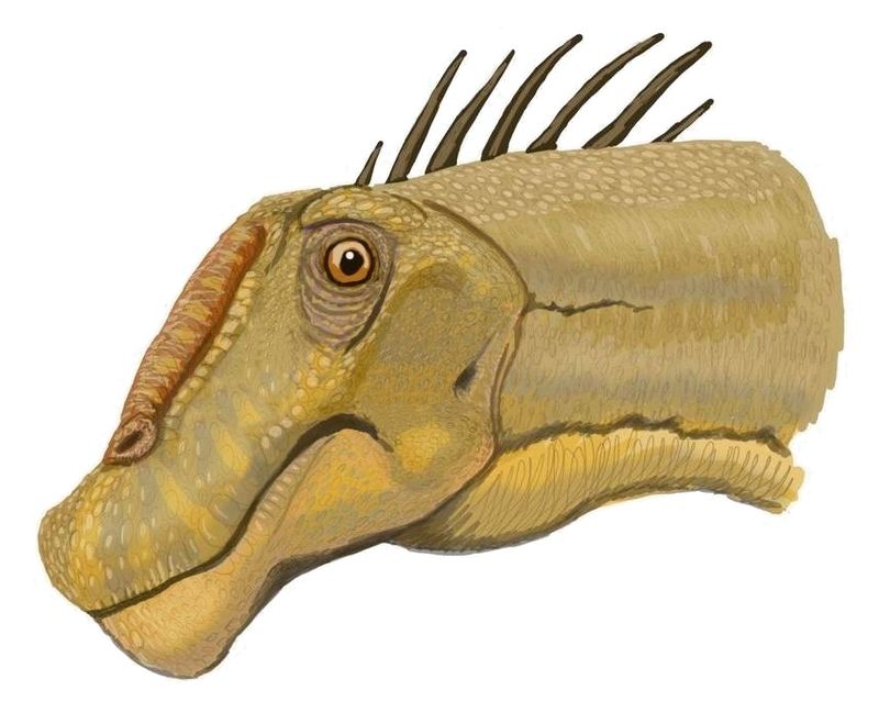 Nemegtosaurus — Autres saurischiens