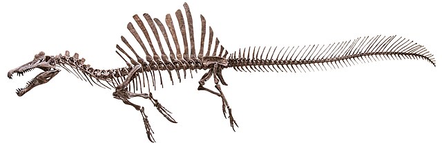 Spinosaure